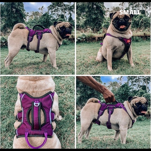 Dog Harness - Picture 10 of 11